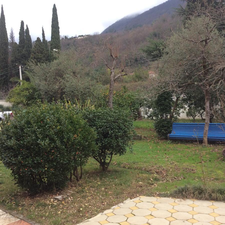Guest House Dali Gagra Kültér fotó