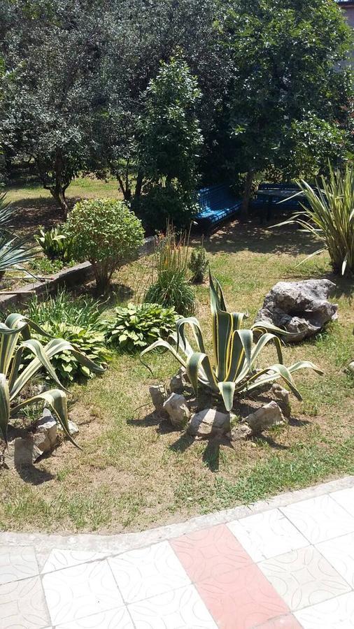 Guest House Dali Gagra Kültér fotó