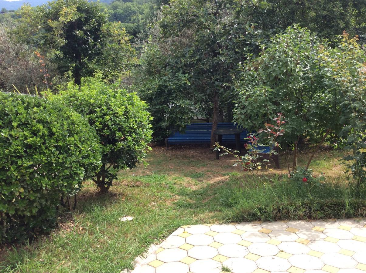 Guest House Dali Gagra Kültér fotó