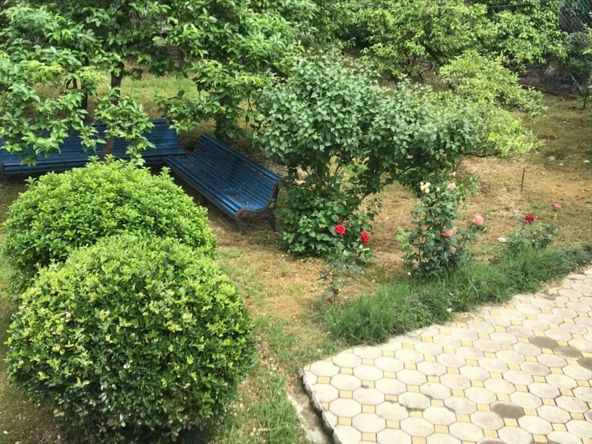 Guest House Dali Gagra Kültér fotó